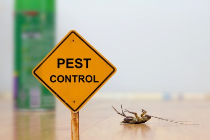 Pest Contol in East Sheen, SW14. Call Now 020 8166 9746